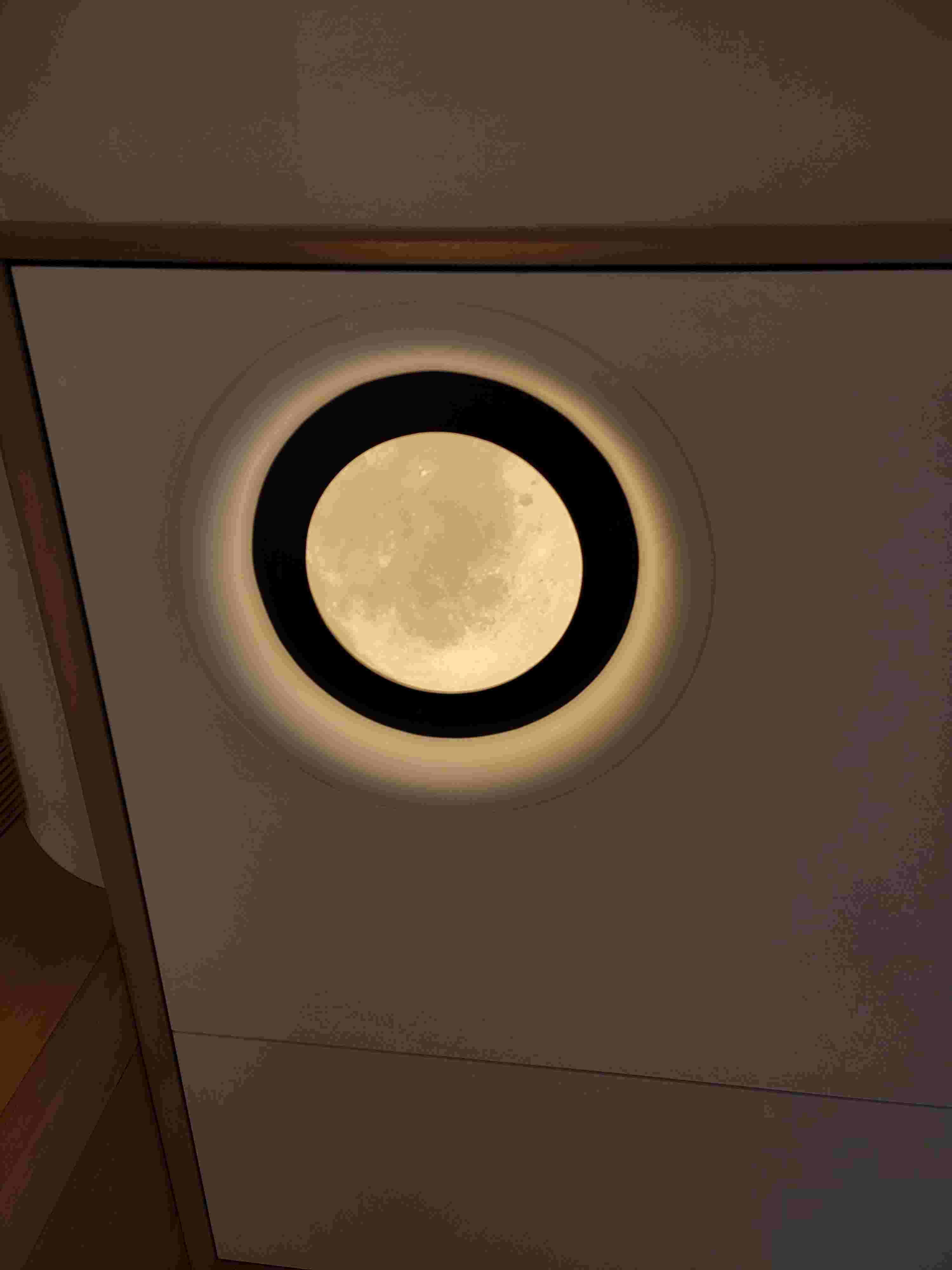 空间之翼